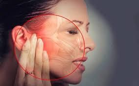 Temporomandibular joint