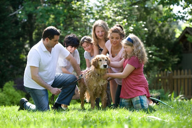 Family therapy